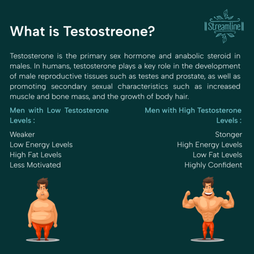 Streamline Testo Booster Capsule Age Group: For Adults