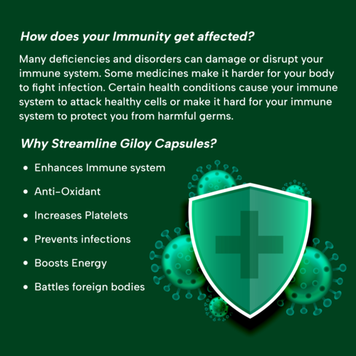 Streamline Giloy Capsule Age Group: Suitable For All