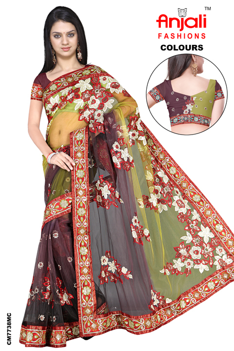 डबल रंग की छाया वाली नेट साड़ी