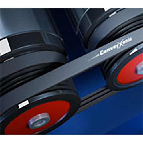 ब्लैक कन्वेक्सोनिक बेल्ट्स