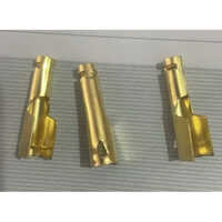 गोल्डन इलेक्ट्रोड फेफड़े