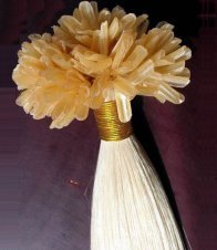 यू टिप एक्सटेंशन