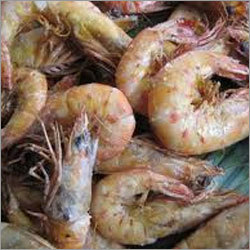 Prawns