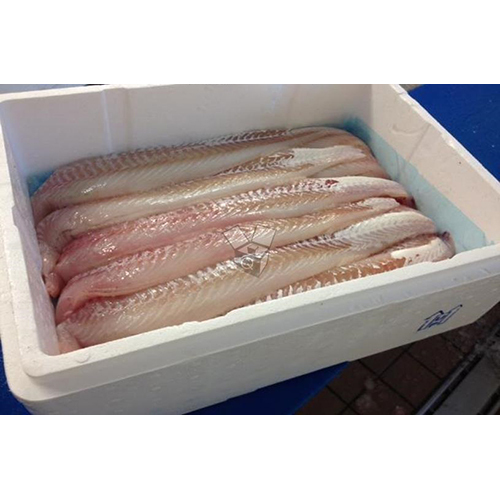 Glossy Lamination Fish Packaging Box