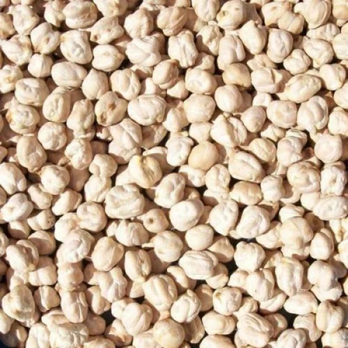 White Kabuli Chana - Whole Organic Legume, White Color, High Purity, Nil Moisture | Nutty Flavor, Versatile For Salads, Curries, Soups