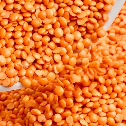Organic Masoor Dal - High Purity, Nil Moisture | Split Reddish-orange Legumes, Rich In Plant-based Protein, Essential Nutrients