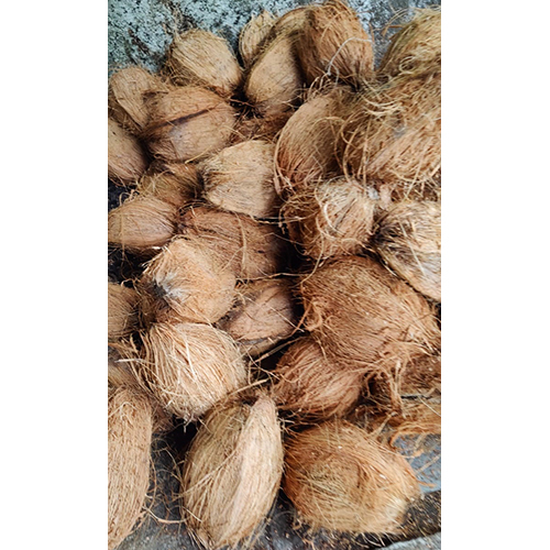 सामान्य ताजा भूसा हुआ नारियल