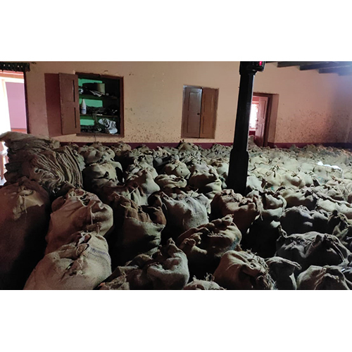 सामान्य भूसा हुआ नारियल