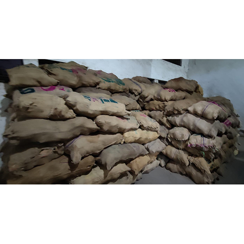 Fresh Brown Coconut - Full-husked Diamond Shape | Sustainably Grown, Freshly Harvested Within 24 Hours, Rich In Dietary Fiber And Nutrients