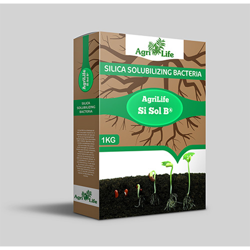 ब्राउन सिलिका सोल्यूबिलाइजिंग बैक्टीरिया