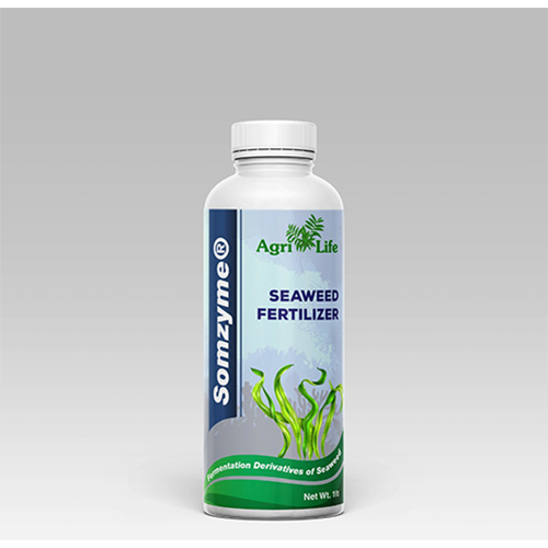 हानिरहित उर्वरक समुद्री शैवाल किण्वन डेरिवेटिव्स