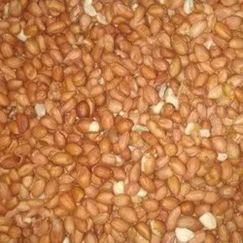 मूंगफली के दाने मूंगफली कडलाई निलक्कडलाई