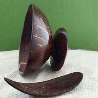 विभिन्न उपलब्ध नारियल शेल कप और सॉसर