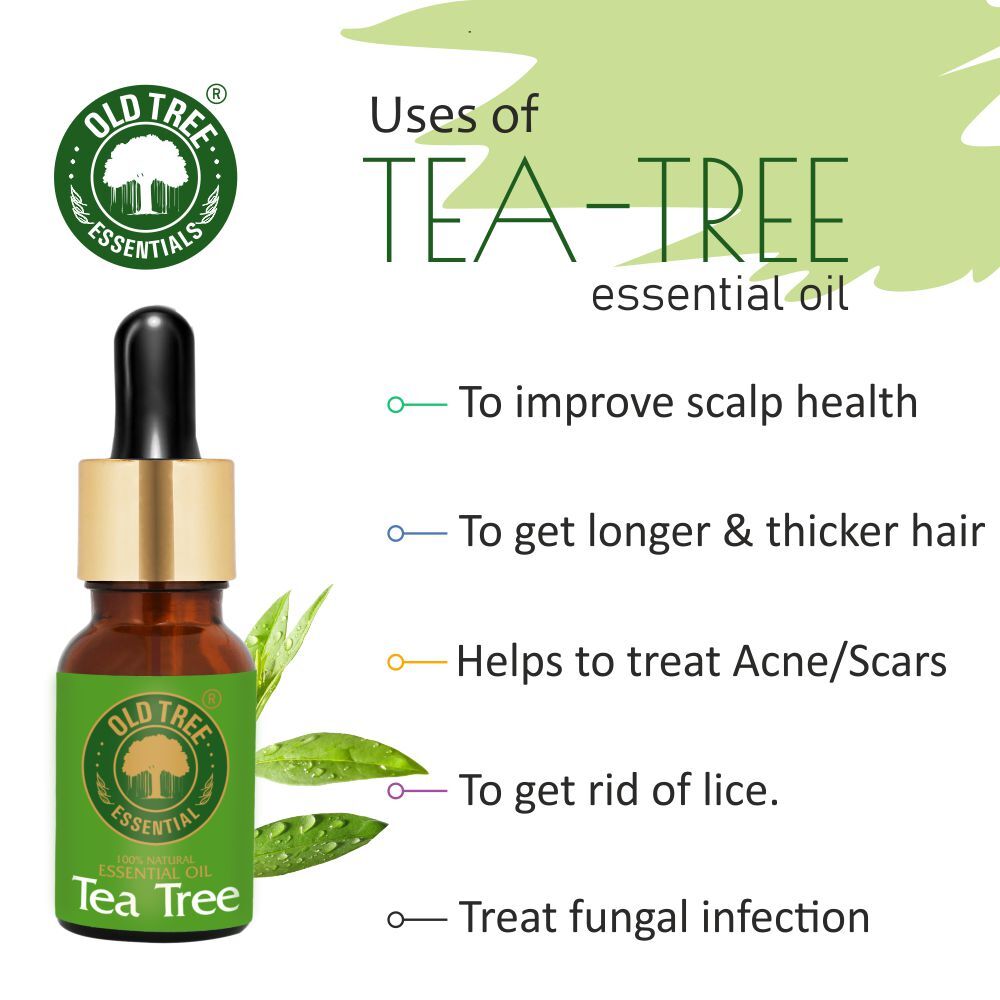 Old Tree Tea Tree Essential Oil 15ml - Liquid, Clear | 100% Pure & Natural Oil, Anti-bacterial, Aromatherapy & Cosmetic Application