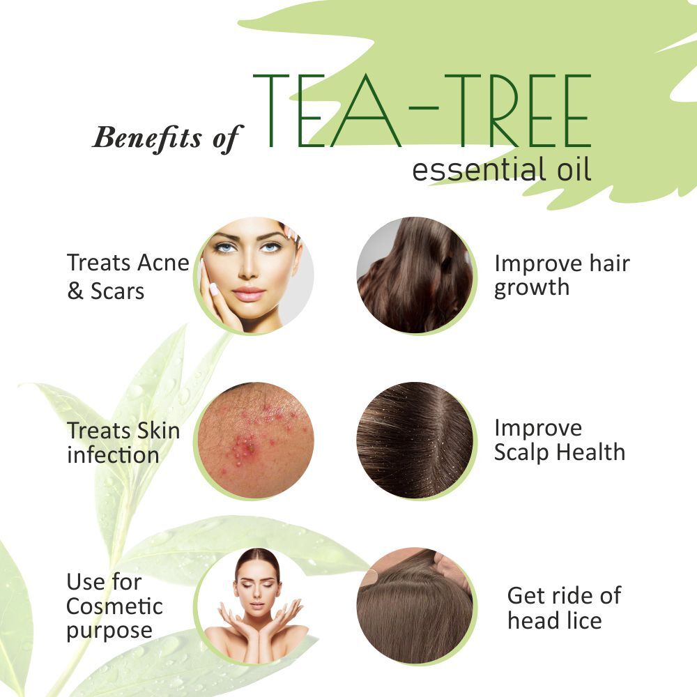Old Tree Tea Tree Essential Oil 15ml - Liquid, Clear | 100% Pure & Natural Oil, Anti-bacterial, Aromatherapy & Cosmetic Application
