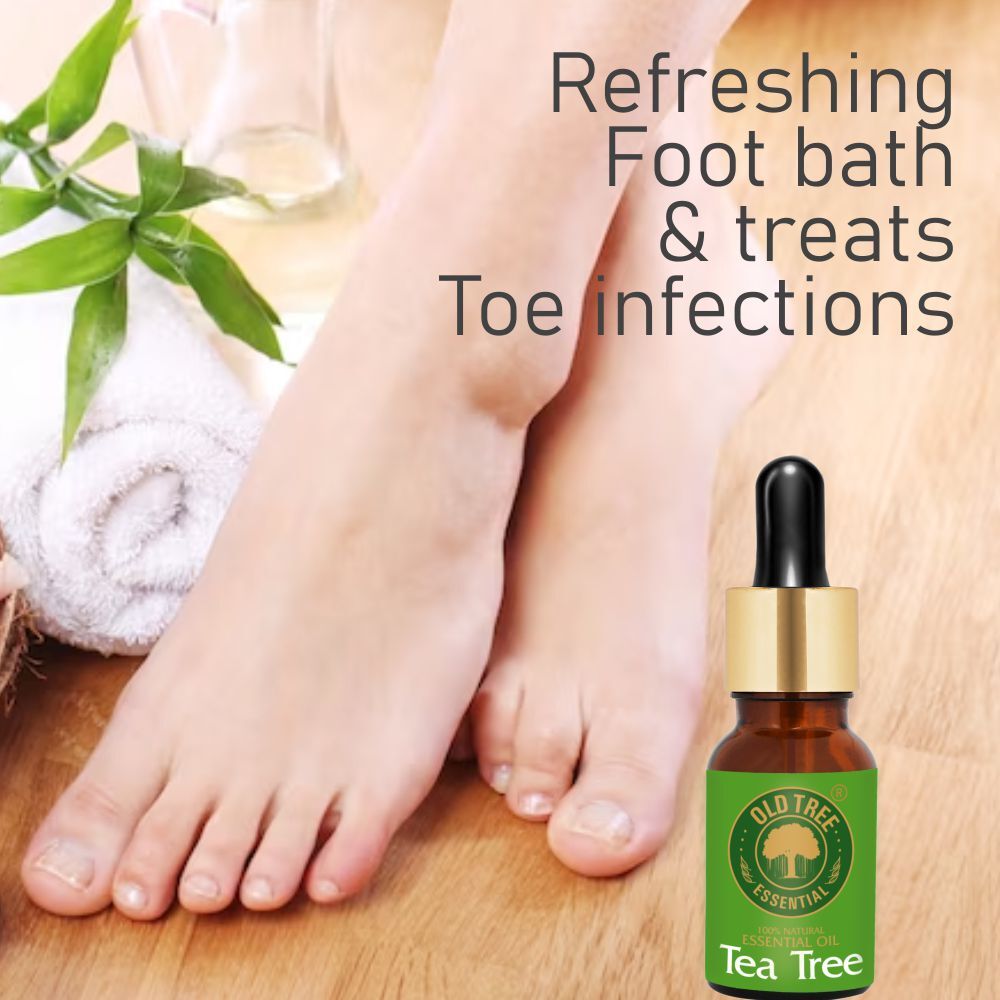 Old Tree Tea Tree Essential Oil 15ml - Liquid, Clear | 100% Pure & Natural Oil, Anti-bacterial, Aromatherapy & Cosmetic Application