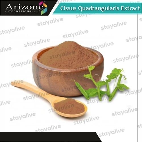 हर्बल प्रोडक्ट सिसस क्वाड्रांगुलरिस एक्सट्रैक्ट
