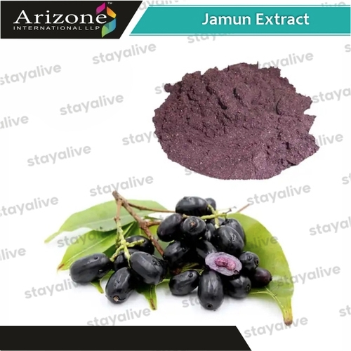हर्बल उत्पाद जामुन का अर्क