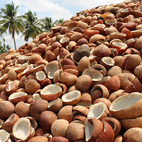 शुद्ध ऑर्गेनिक नारियल कोपरा