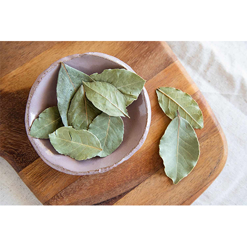 Green Fresh Bay Leaf