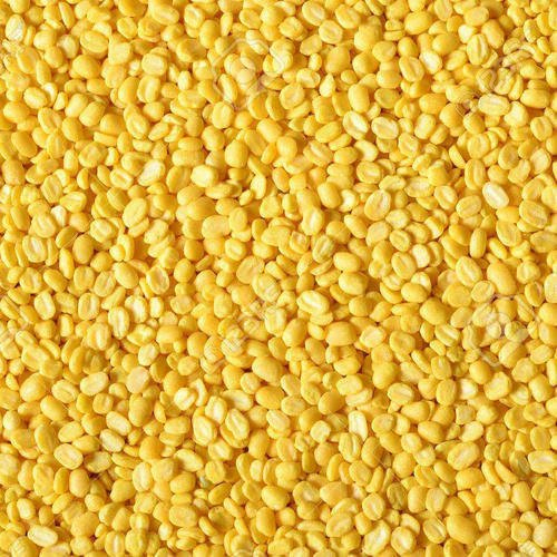 Common Yellow Lentils