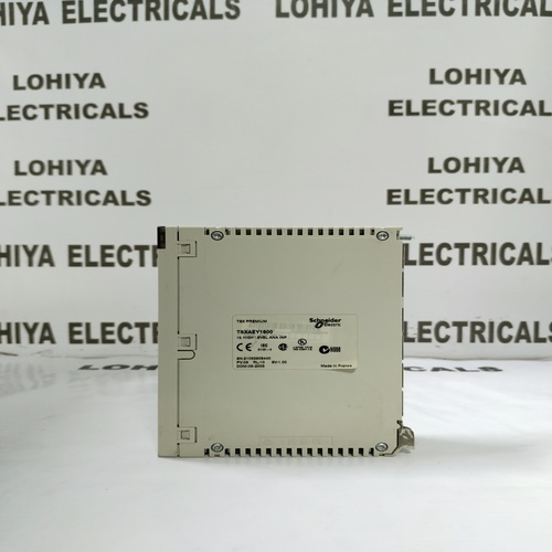 Schneider Electric Tsxaey1600 Input Module