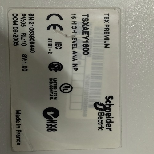 Schneider Electric Tsxaey1600 Input Module