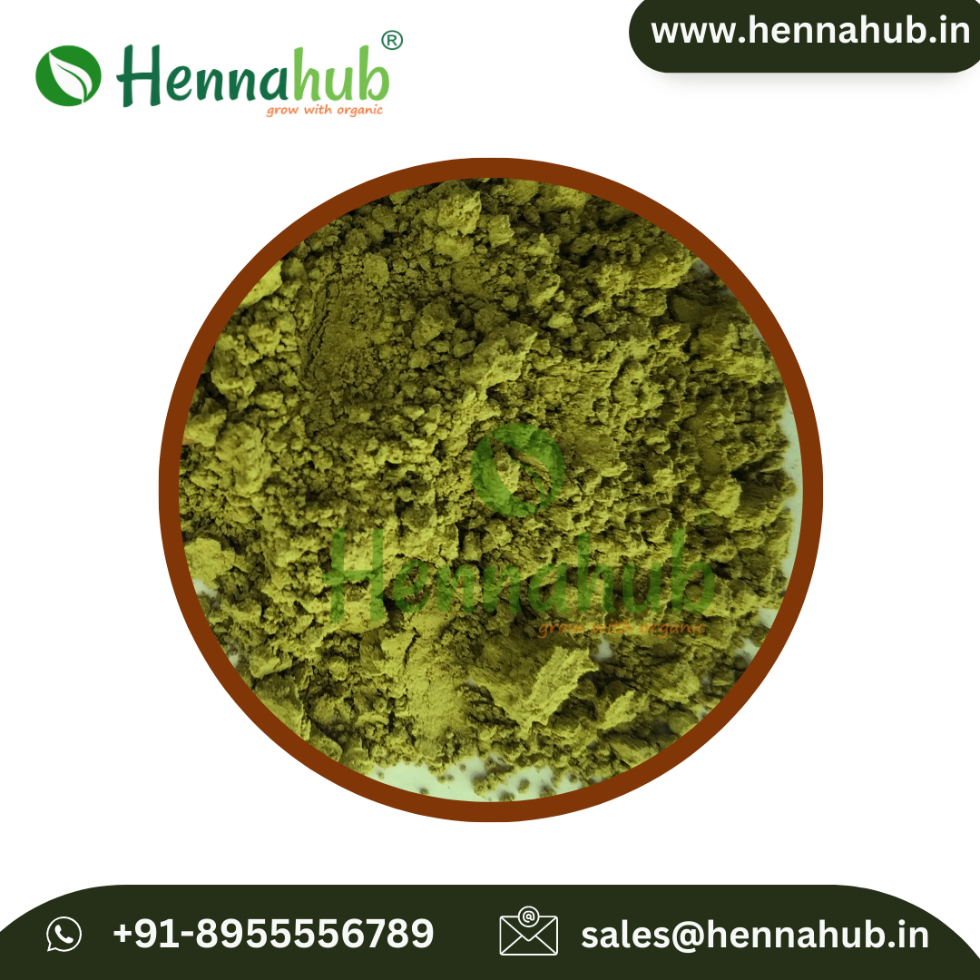 True Indigo Powder Manufacturers' Key Ingredient For Intricate Body Art - Cosmetic Grade, Green Color, Fine Powder, Wild Cultivated Leaves | High Quality, Natural Dye, Versatile Use, 1 Year Shelf Life