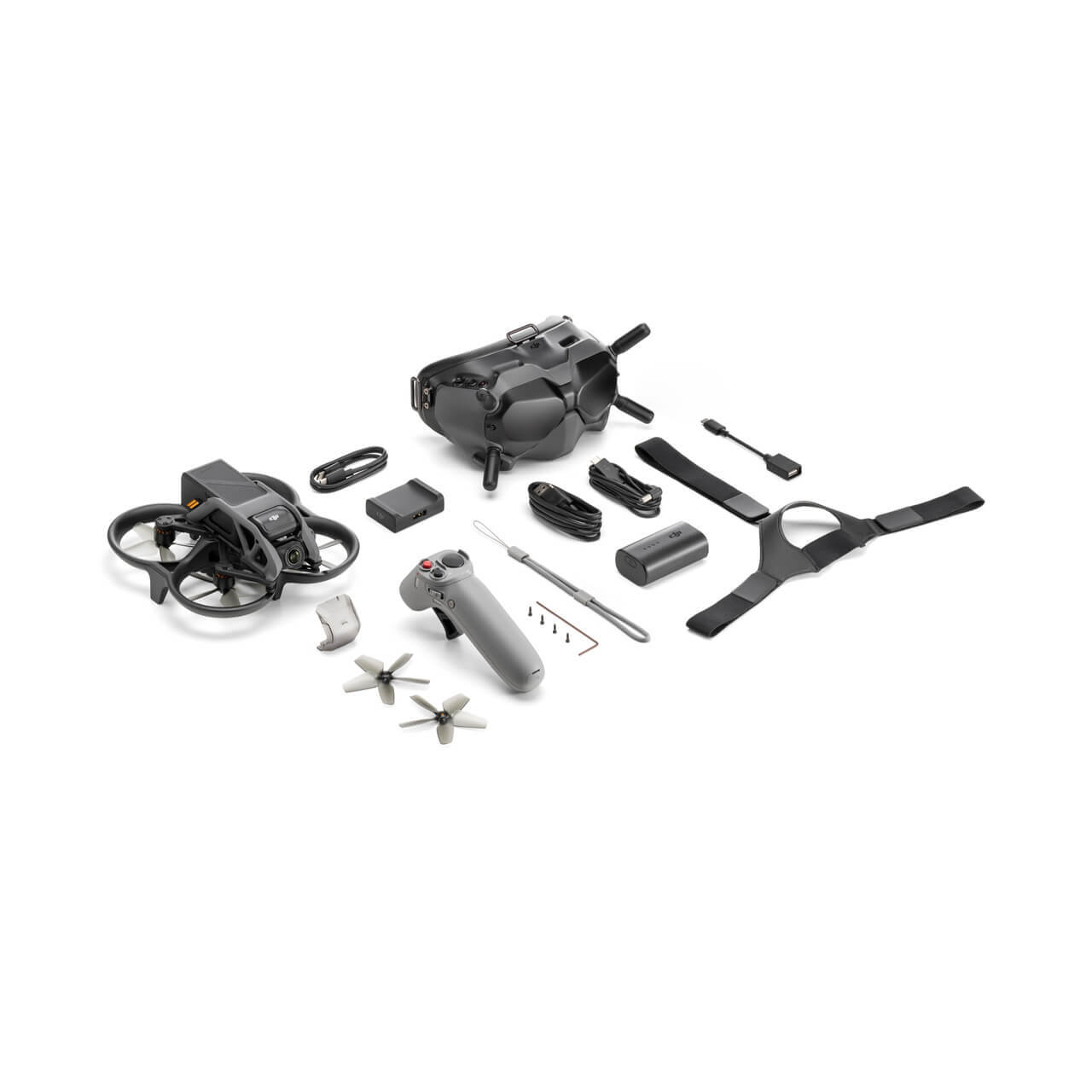 Avata Smart View Combo
