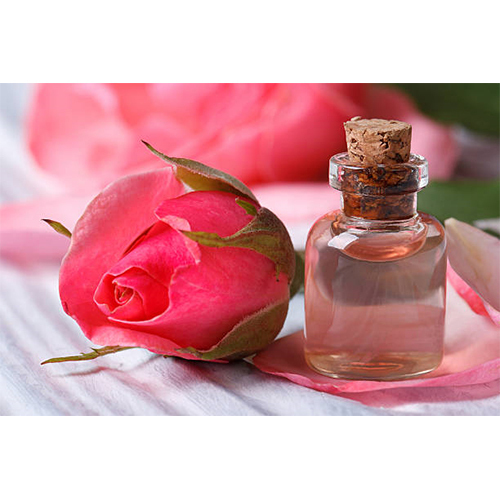 Rose Essential Oil - 99% Pure Liquid Extract | All Age Group Suitable, Store in Cool and Dry Place, 24 Months Shelf Life