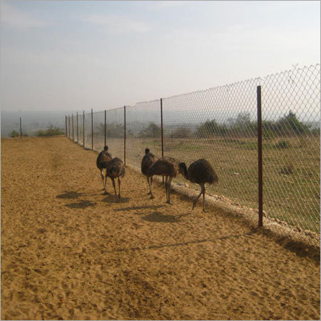 एमु खेती परियोजना रिपोर्ट