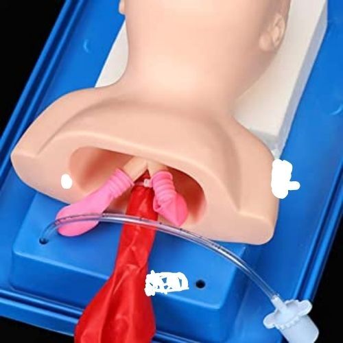 Natural Skin Color Newborn Baby Intubation Models