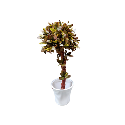 ब्राउन ऑटम टॉपियरी प्लांट