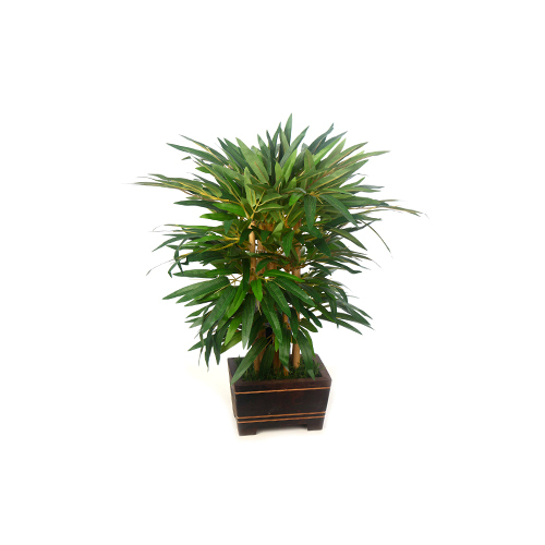 ग्रीन बैम्बू बोन्साई वुडन पॉट