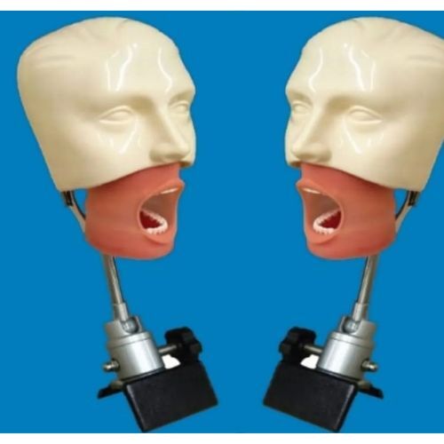 Natural Skin Color Simple Manikin Set