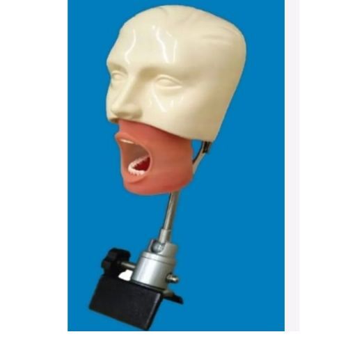 Natural Skin Color Simple Manikin Set