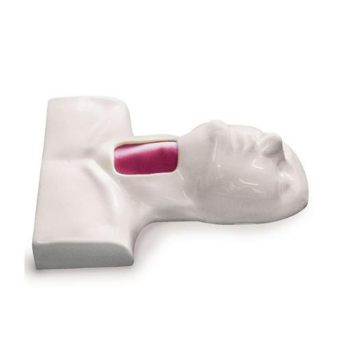 Cricotracheotomy Trainer