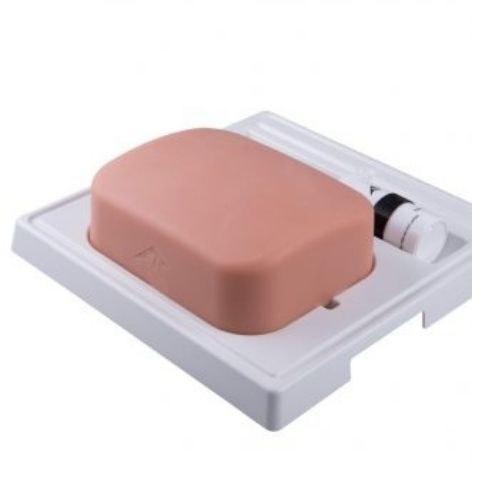 Gallbladder Kit - Pvc & Rubber, Natural Skin Color | Hands-on Training With Ultrasound Simulator And Anatomical Model For Gallbladder Pathologies Study