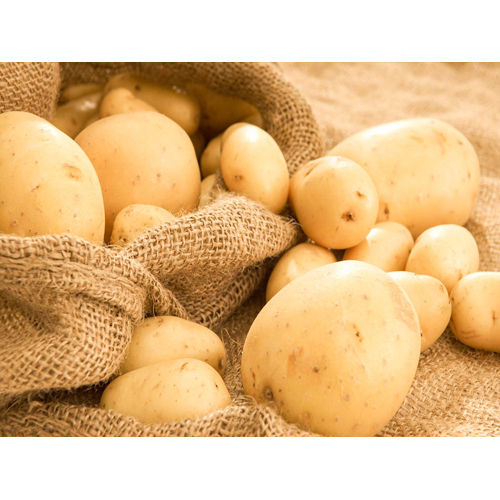 Fresh Organic Potatoes