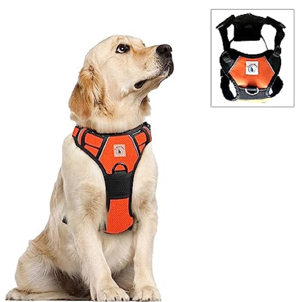 No Pull Dog Harness - Canvas, Sizes Small To Xx-large, Red-blue-black-neon Green-orange | High Quality, Comfortable Chest And Shoulder Pressure Distribution