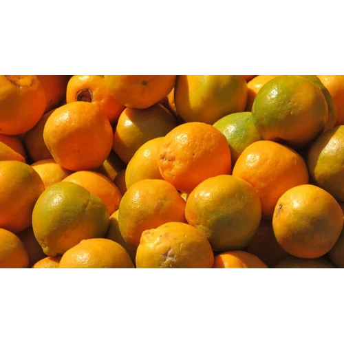 Frozen Orange Juice - Glass Bottle | Sweet Taste, Nil Alcohol Content, Refreshing Beverage