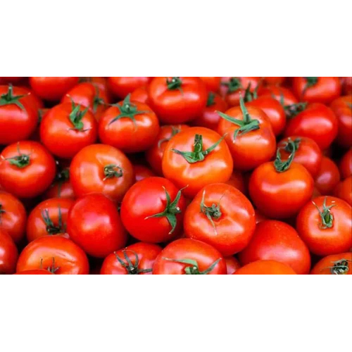 28 - 30 Brix Tomato Paste - First Class Quality, Crafted From Fresh Raw Tomatoes | Store In A Dry Place For Optimal Freshness