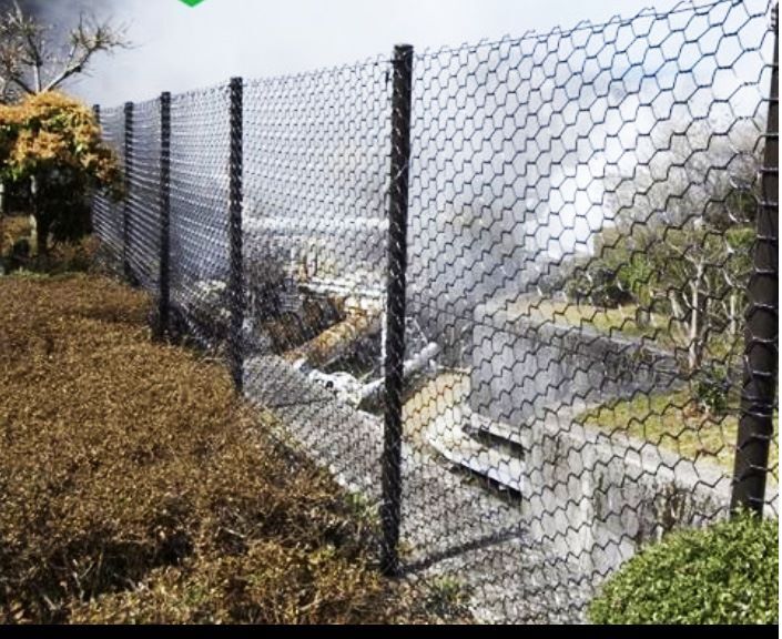Pvc Fencing Net
