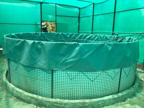 Biofloc Fish Farming Tank - Color: Green