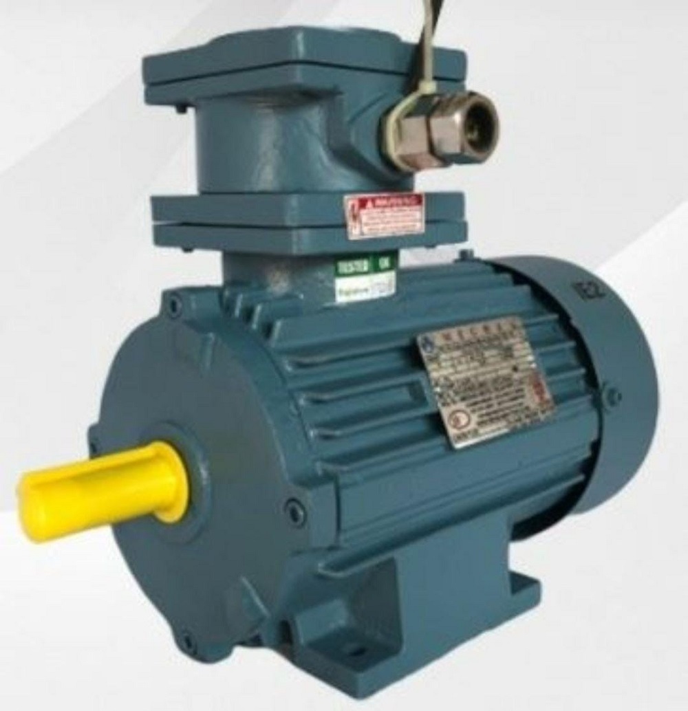 Heavy Duty Copper Three Phase Electric Motor - Frequency (Mhz): 50 Hertz (Hz)