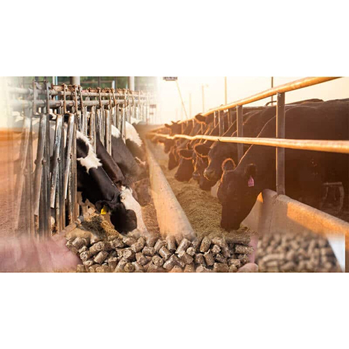 Semi-automatic Cattle Feed Pellet Machine