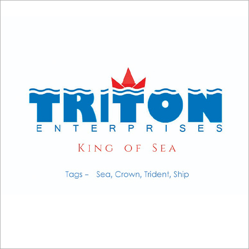 Logo Design Services - Modern Silver Logos, 300 Dpi Quality | Custom Png, Jpg, Svg, Pdf Formats