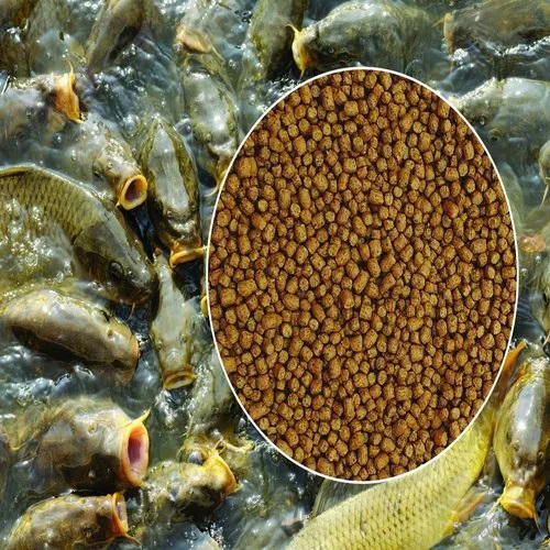 Rohu Fish Feed - Color: Brown