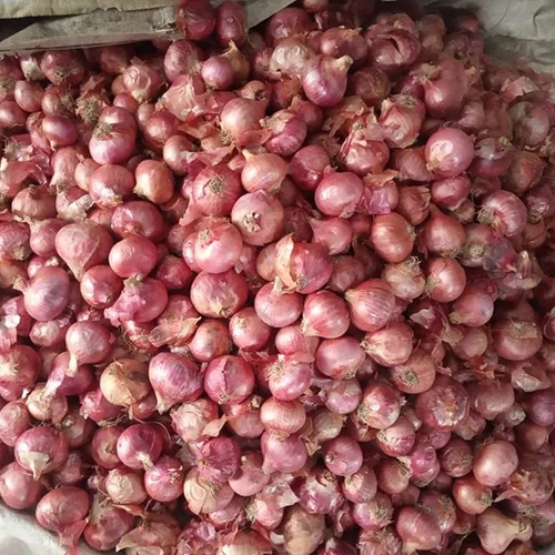 Fresh Red Onion - Raw, Nil Moisture, Crisp Texture | Versatile Cooking Essential, Nutritious Ingredient for Flavorful Dishes