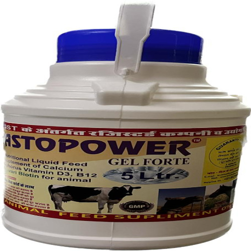 Ostopower Gel Forte 5 Ltr एक शक्ति-प्रदायक जेल है जो गति और सहनशक्ति को बढ़ाने में मदद करता है। यह विशेष रूप से पेशेवर एथलीटों के लिए तैयार किया गया है।